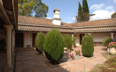 imagen2