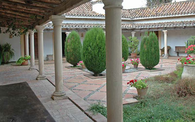 imagen3